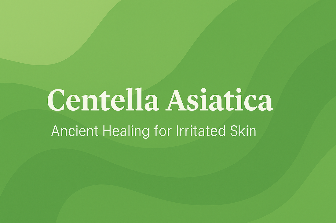 Centella Asiatica - Ancient Healing for Irritated Skin