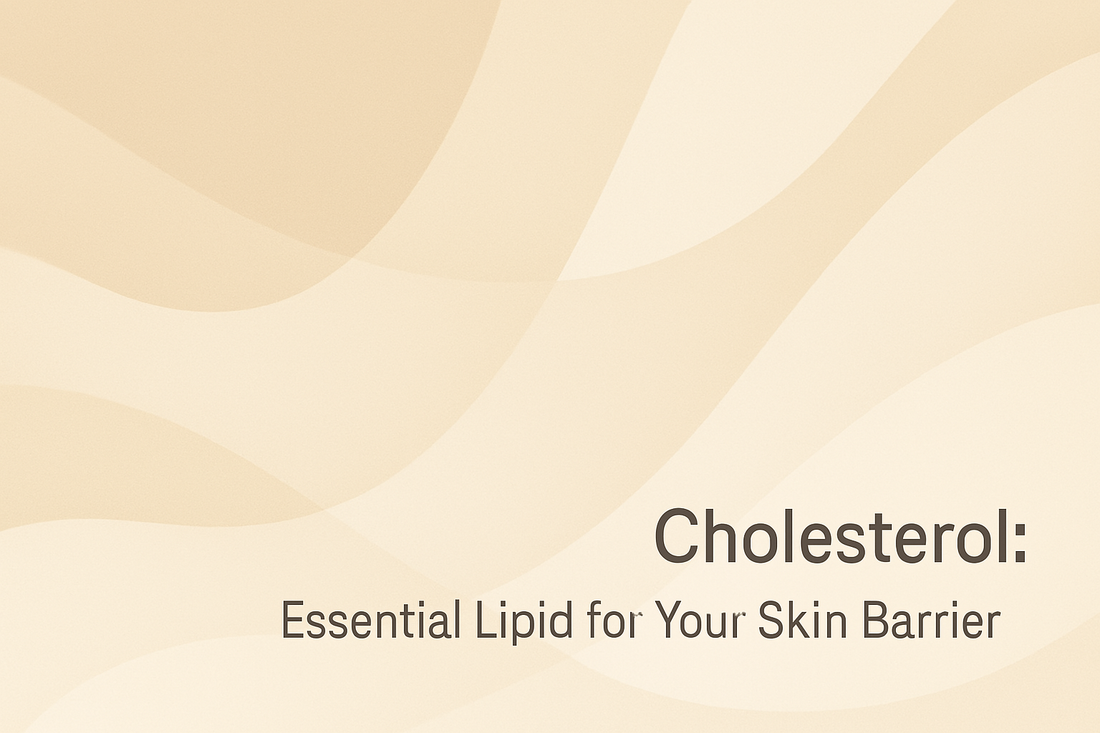 Cholesterol - Essential Lipid for Your Skin Barrier