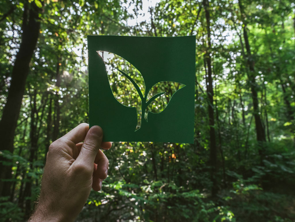 How Skincare Brands Are Addressing Climate Change