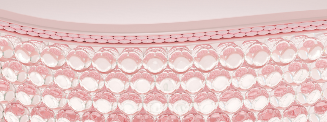 The Microscopic World on Your Skin: Understanding Skin Microbiomes