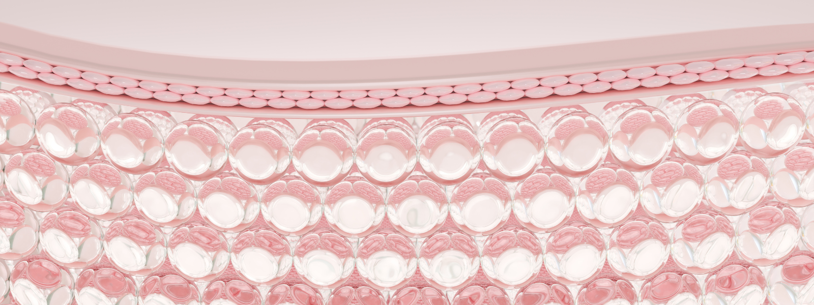 The Microscopic World on Your Skin: Understanding Skin Microbiomes