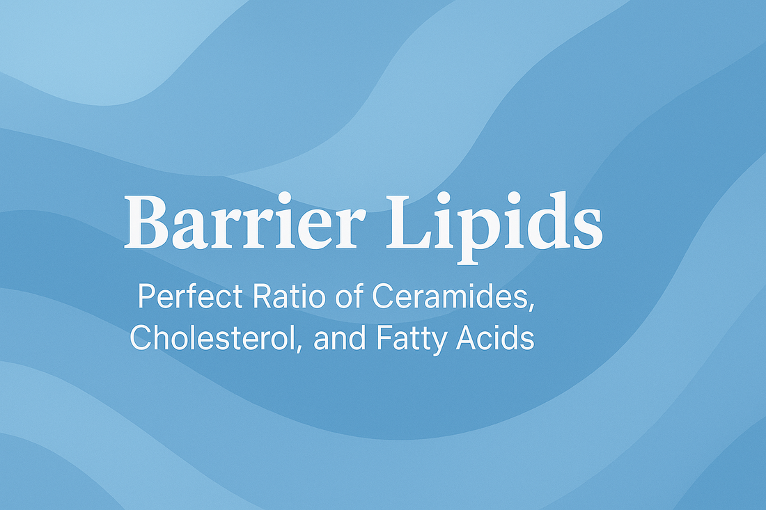 Barrier Lipids - Perfect Ratio of Ceramides, Cholesterol, and Fatty Acids