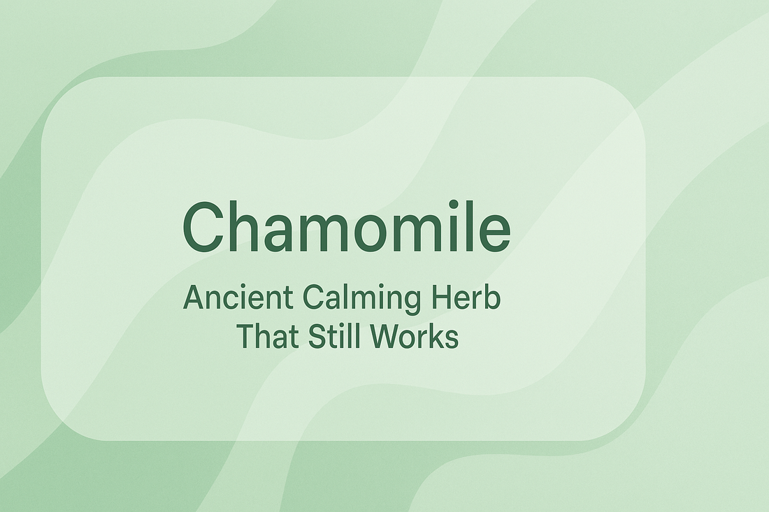 Chamomile - Ancient Calming Herb That Still Works