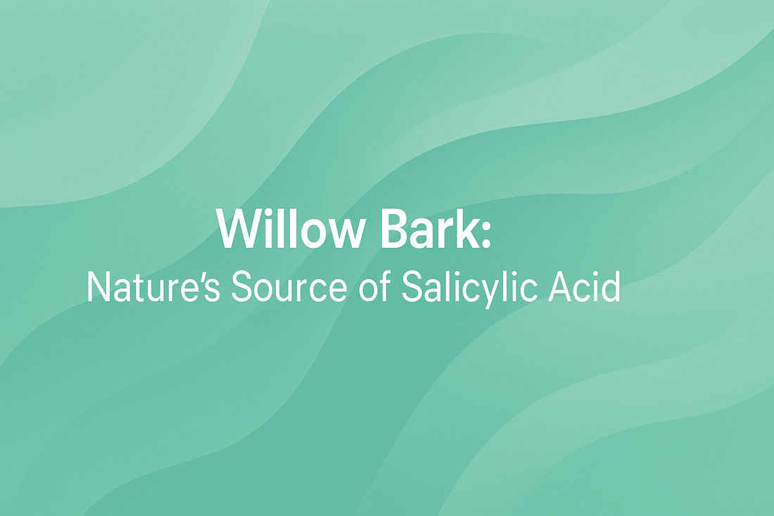 Willow Bark - Nature's Source of Salicylic Acid