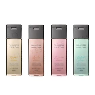 Hoyu Professional Promaster Color Care Shampoo - Rich